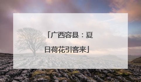 广西容县：夏日荷花引客来