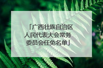 广西壮族自治区人民代表大会常务委员会任免名单