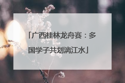 广西桂林龙舟赛：多国学子共划漓江水