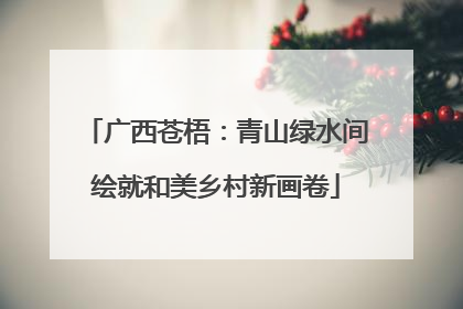 广西苍梧：青山绿水间绘就和美乡村新画卷