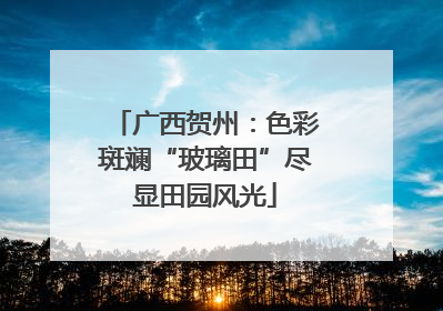 广西贺州：色彩斑斓“玻璃田”尽显田园风光