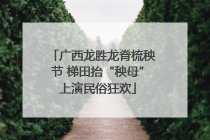 广西龙胜龙脊梳秧节 梯田抬“秧母”上演民俗狂欢