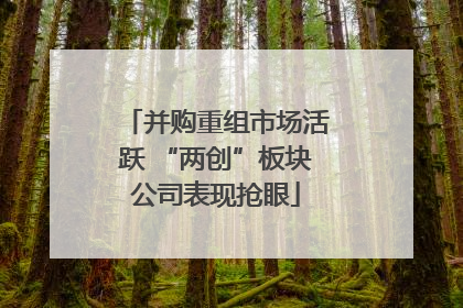 并购重组市场活跃 “两创”板块公司表现抢眼