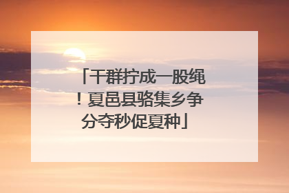 干群拧成一股绳！夏邑县骆集乡争分夺秒促夏种