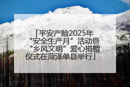 平安产险2025年“安全生产月”活动暨“乡风文明”爱心捐赠仪式在菏泽单县举行
