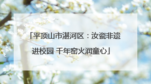 平顶山市湛河区：汝瓷非遗进校园 千年窑火润童心
