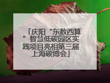 庆阳“东数西算”智慧低碳园区实践项目亮相第三届上海碳博会