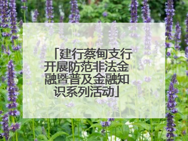 建行蔡甸支行开展防范非法金融暨普及金融知识系列活动