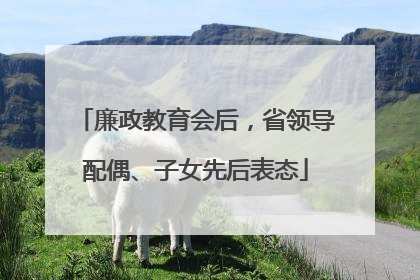 廉政教育会后，省领导配偶、子女先后表态