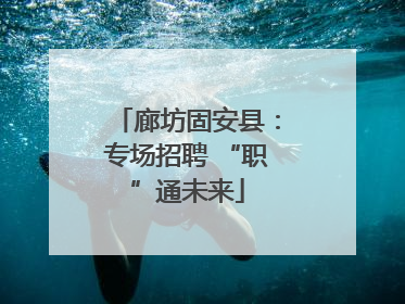 廊坊固安县：专场招聘 “职”通未来
