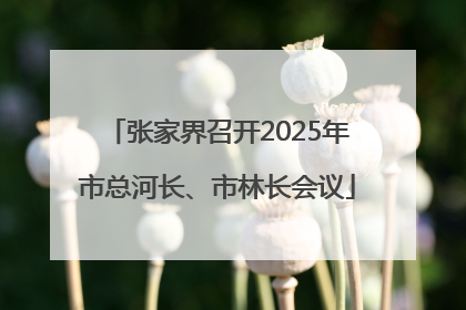 张家界召开2025年市总河长、市林长会议