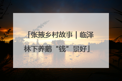 张掖乡村故事｜临泽林下养鹅“钱”景好