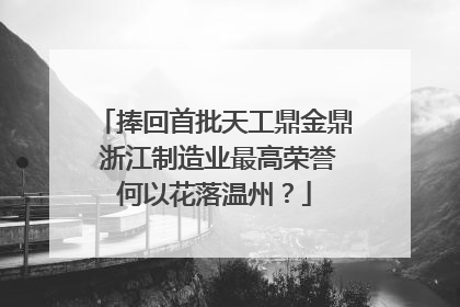 捧回首批天工鼎金鼎 浙江制造业最高荣誉何以花落温州？