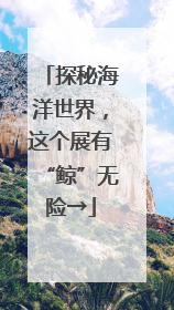 探秘海洋世界，这个展有“鲸”无险→