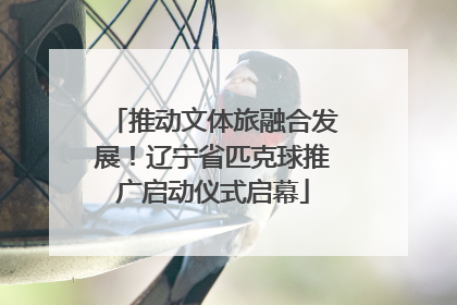 推动文体旅融合发展！辽宁省匹克球推广启动仪式启幕