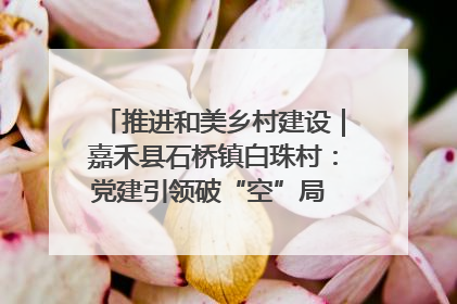 推进和美乡村建设｜嘉禾县石桥镇白珠村：党建引领破“空”局 乡贤聚力绘就新图景