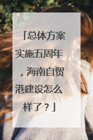 总体方案实施五周年，海南自贸港建设怎么样了？