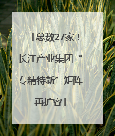 总数27家！长江产业集团“专精特新”矩阵再扩容