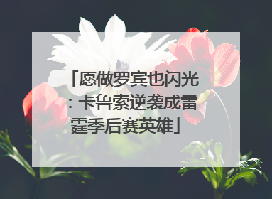 愿做罗宾也闪光：卡鲁索逆袭成雷霆季后赛英雄