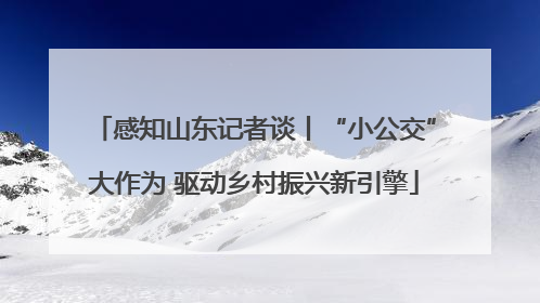 感知山东记者谈丨“小公交”大作为 驱动乡村振兴新引擎