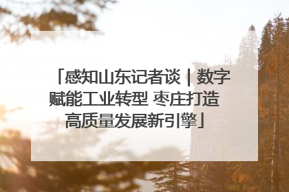 感知山东记者谈｜数字赋能工业转型 枣庄打造高质量发展新引擎