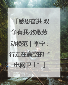 感恩奋进 双争有我·致敬劳动模范｜李宁：行走在高空的“电网卫士”