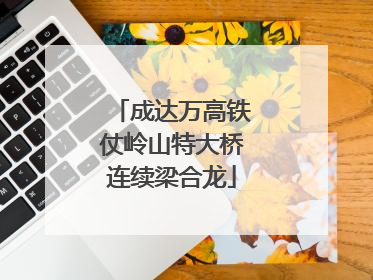 成达万高铁仗岭山特大桥连续梁合龙