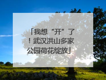 我想“开”了！武汉洪山多家公园荷花绽放