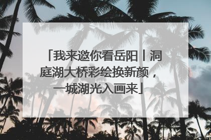 我来邀你看岳阳丨洞庭湖大桥彩绘换新颜，一城湖光入画来