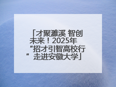 才聚濉溪 智创未来！2025年“招才引智高校行”走进安徽大学