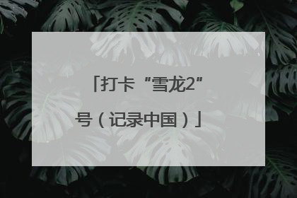 打卡“雪龙2”号（记录中国）