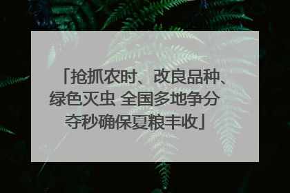 抢抓农时、改良品种、绿色灭虫 全国多地争分夺秒确保夏粮丰收