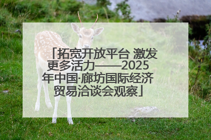 拓宽开放平台 激发更多活力——2025年中国·廊坊国际经济贸易洽谈会观察