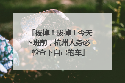 拔掉！拔掉！今天下班前，杭州人务必检查下自己的车
