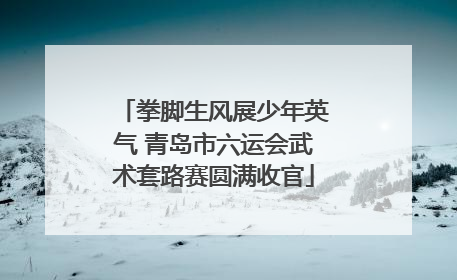 拳脚生风展少年英气 青岛市六运会武术套路赛圆满收官