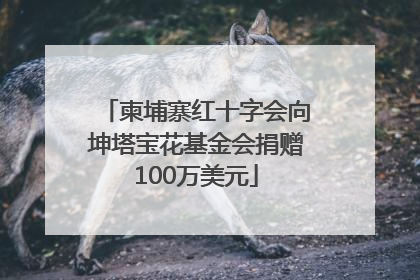 柬埔寨红十字会向坤塔宝花基金会捐赠100万美元