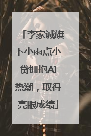 李家诚旗下小雨点小贷拥抱AI热潮，取得亮眼成绩