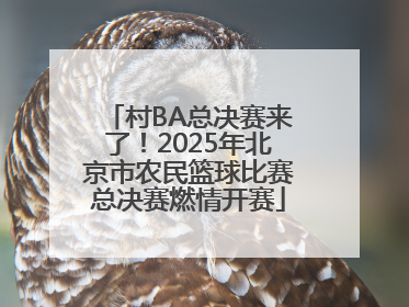 村BA总决赛来了！2025年北京市农民篮球比赛总决赛燃情开赛