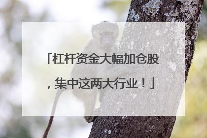 杠杆资金大幅加仓股，集中这两大行业！