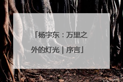 杨宇东：万里之外的灯光｜序言