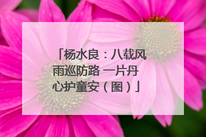 杨水良：八载风雨巡防路 一片丹心护童安（图）