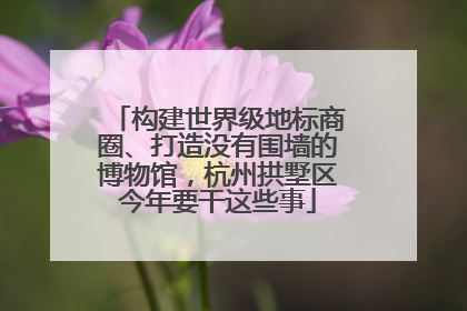构建世界级地标商圈、打造没有围墙的博物馆，杭州拱墅区今年要干这些事