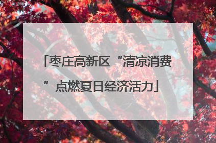 枣庄高新区“清凉消费”点燃夏日经济活力