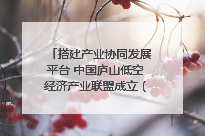 搭建产业协同发展平台 中国庐山低空经济产业联盟成立（组图｜视频）