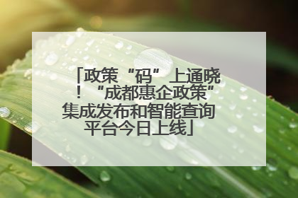政策“码”上通晓！“成都惠企政策”集成发布和智能查询平台今日上线