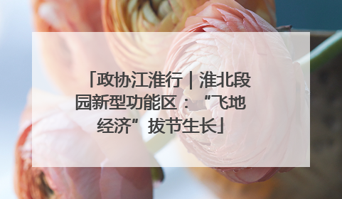 政协江淮行｜淮北段园新型功能区：“飞地经济”拔节生长