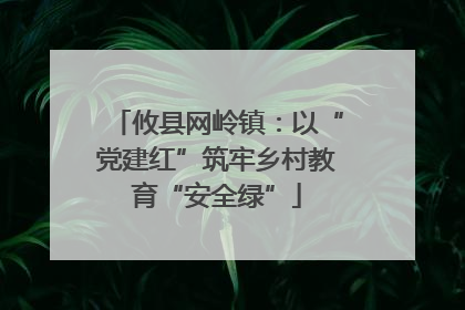 攸县网岭镇：以“党建红”筑牢乡村教育“安全绿”
