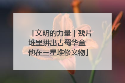 文明的力量｜残片堆里拼出古蜀华章 他在三星堆修文物