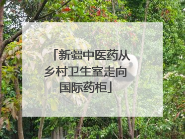 新疆中医药从乡村卫生室走向国际药柜