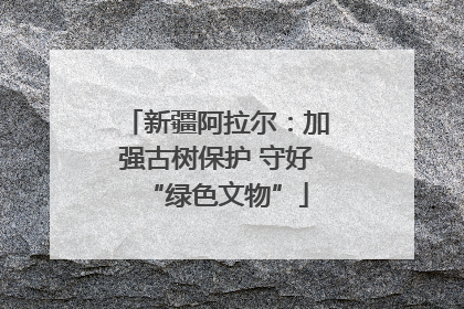 新疆阿拉尔：加强古树保护 守好“绿色文物”